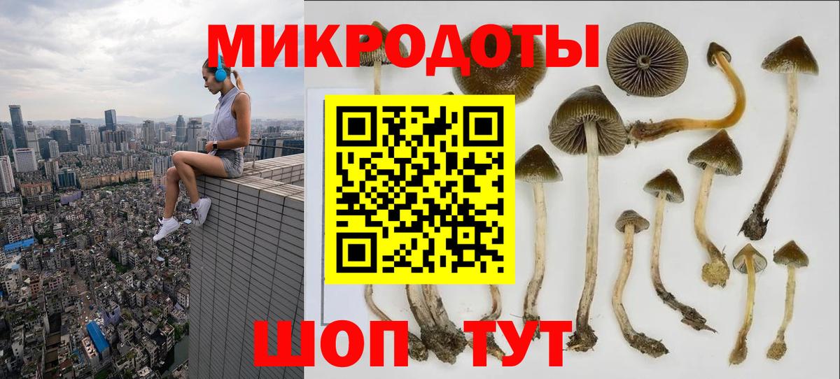 Псилоцибиновые грибы GOLDEN TEACHER Радужный